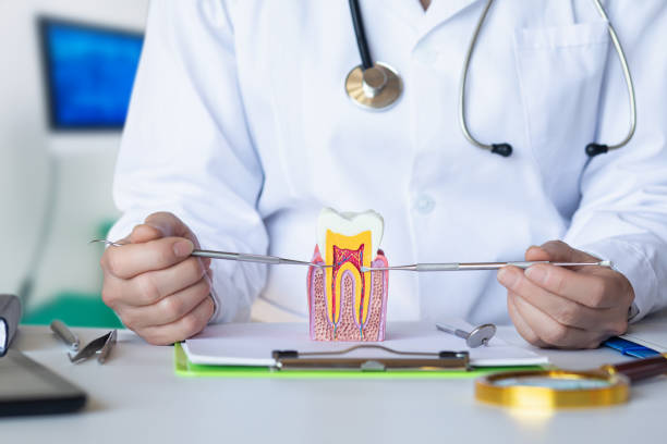 Best Emergency Dental Care for Broken or Chipped Teeth in Rock Hill, NY